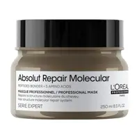 ماسک مو داخل حمام موهای اسیب دیده لورال پروفشنال  مدل Absolut Repair Molecular حجم 250 میل