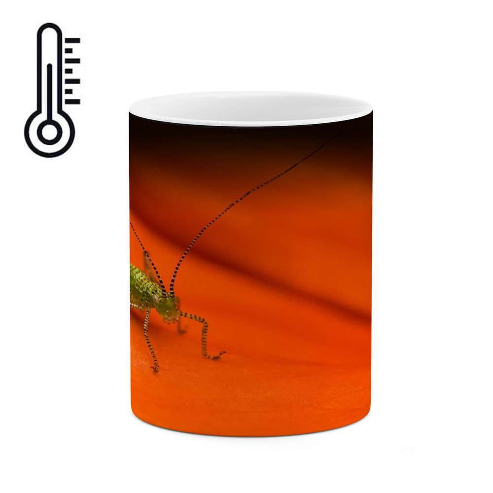 ماگ حرارتی کاکتی طرح حشره مدل mgh16076