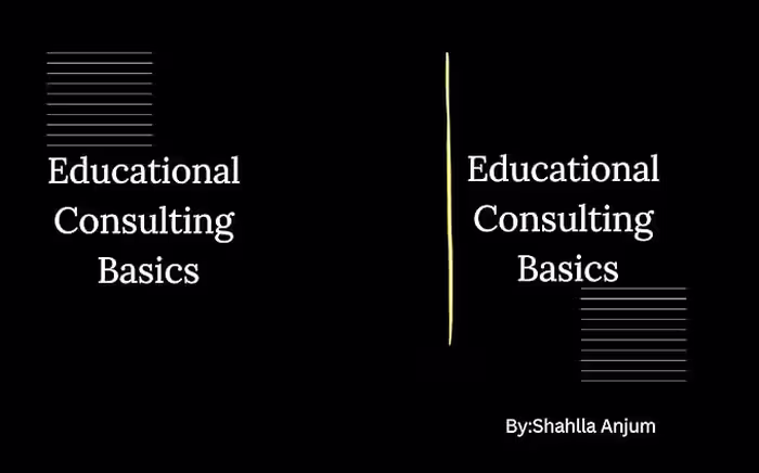 خرید و دانلود نسخه کامل کتاب Educational Consulting Basics -   Pdf