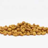 عدسی آجیلی درجه یک فرح بخش (250g)