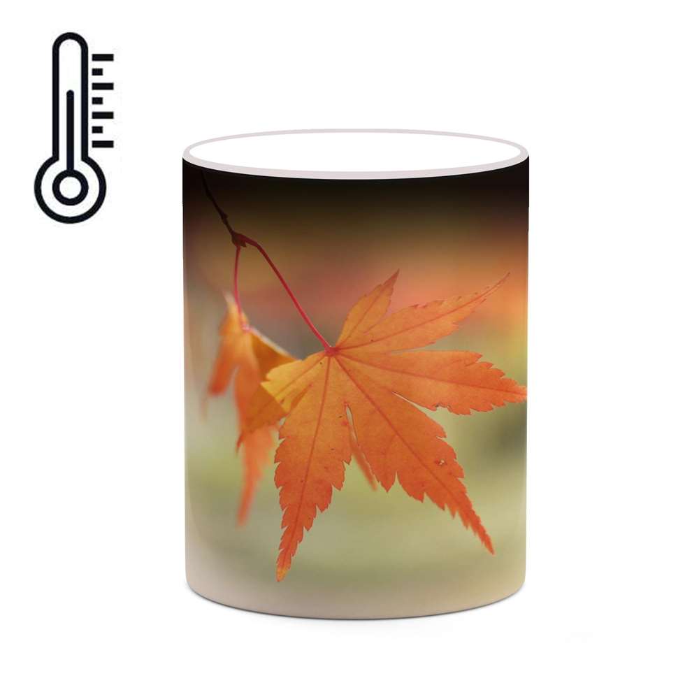 ماگ حرارتی کاکتی طرح پاییز مدل mgh19324