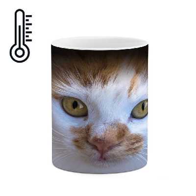 ماگ حرارتی کاکتی طرح گربه مدل mgh16660