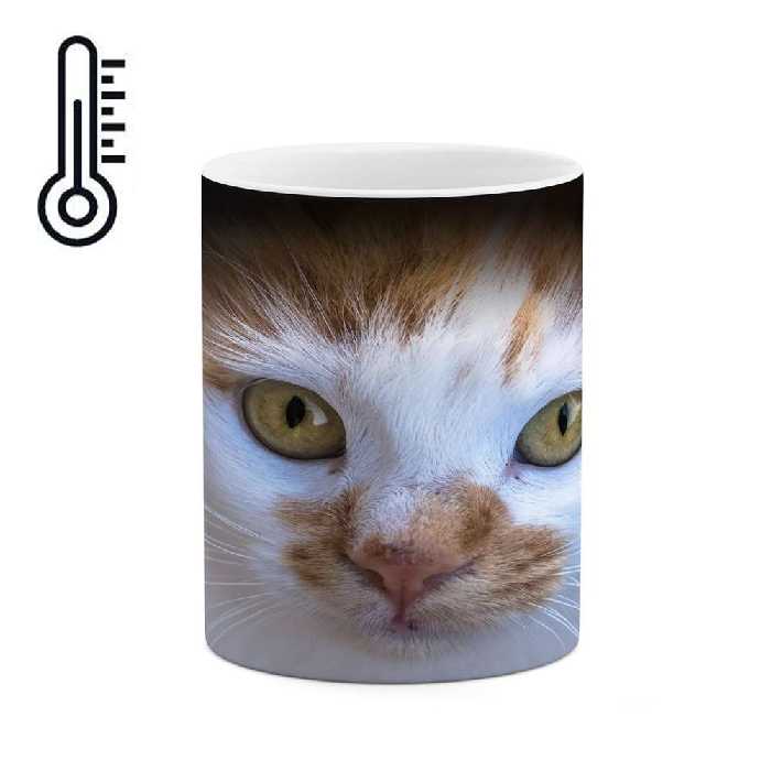 ماگ حرارتی کاکتی طرح گربه مدل mgh16660