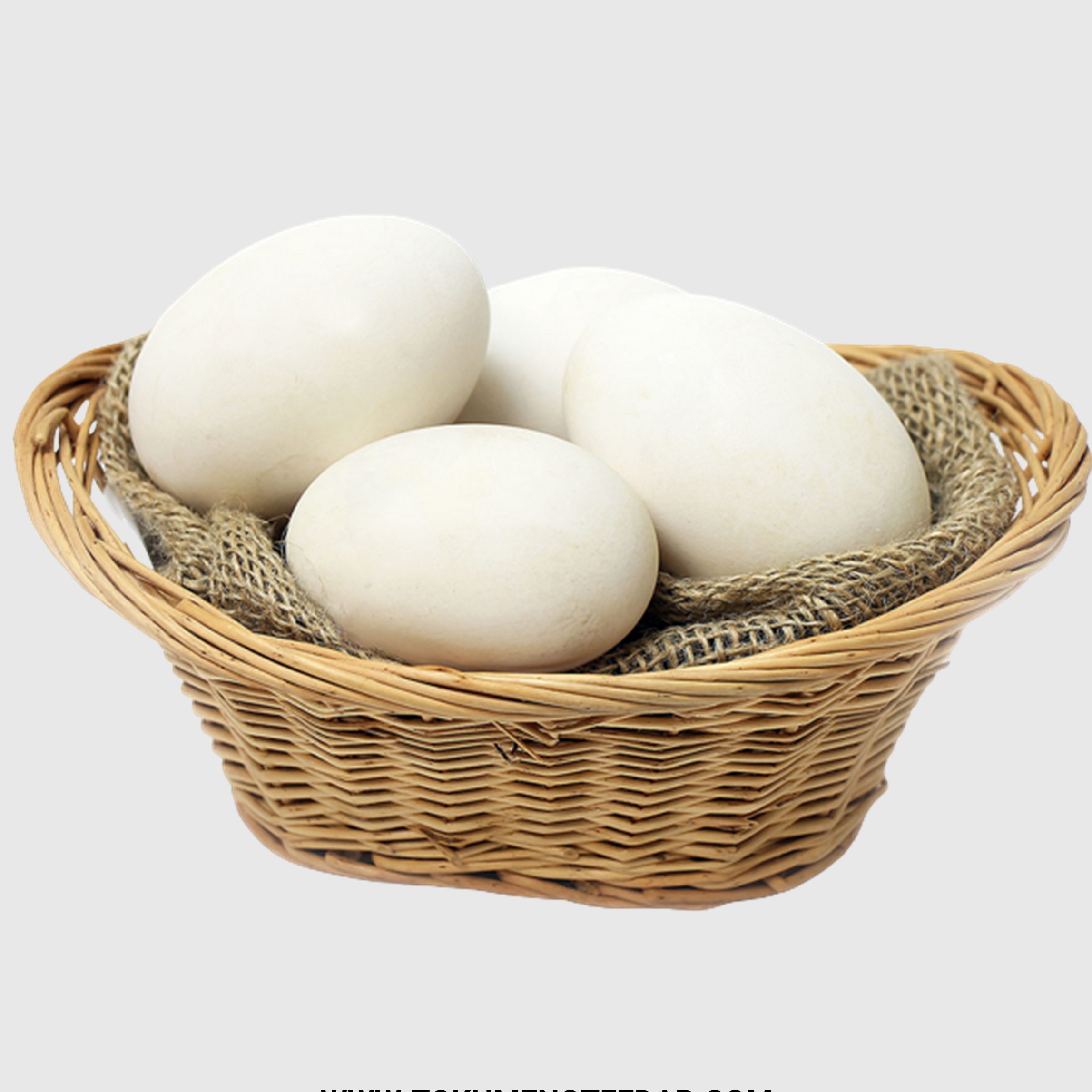 تخم غاز بسته 10تایی طیورمحیا 