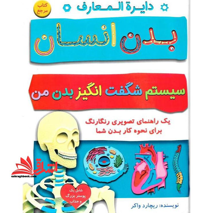 دایره المعارف بدن انسان سیستم شگفت انگیز بدن من - فروشگاه کتاب اشراق