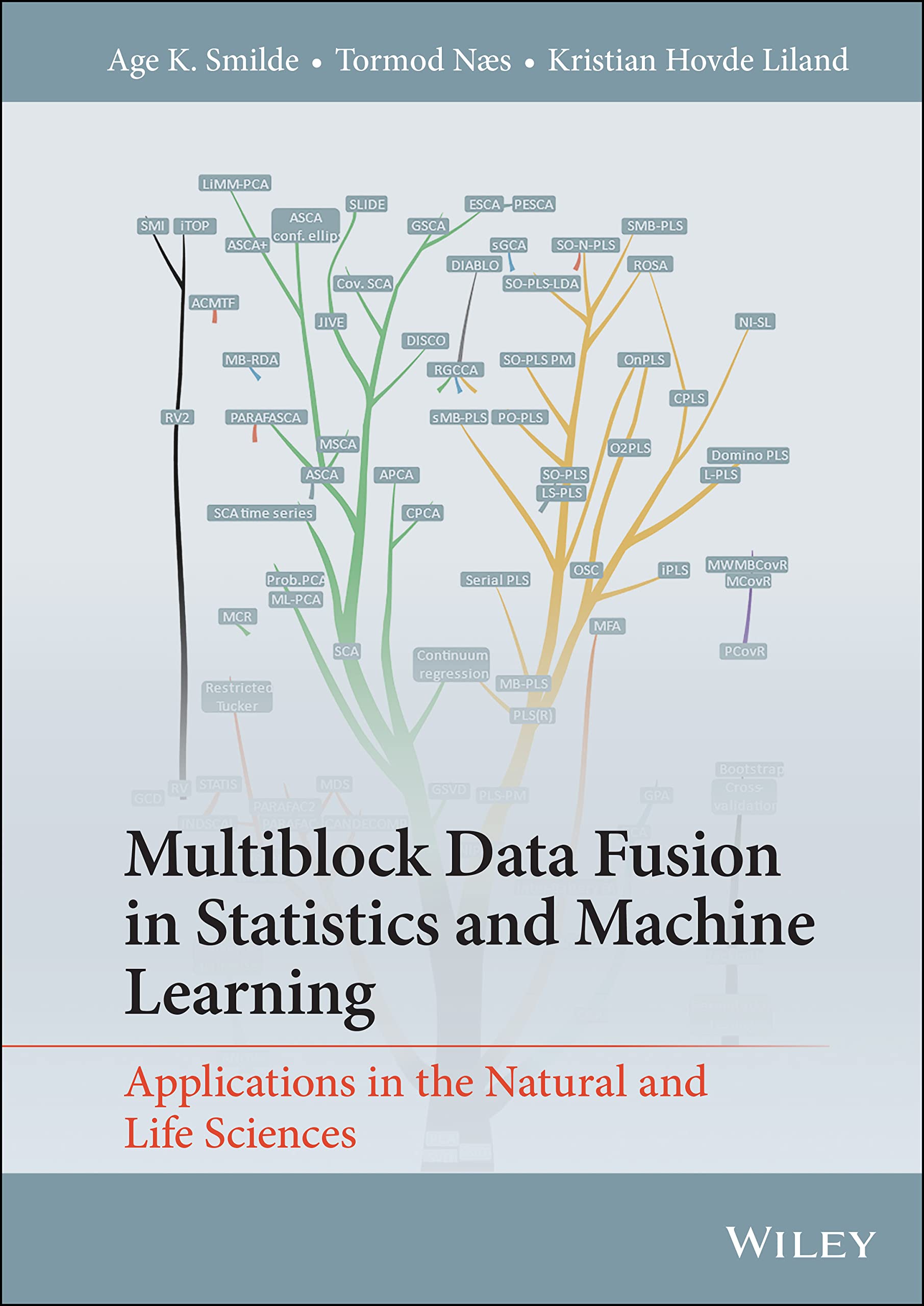 خرید و دانلود نسخه کامل کتاب Multiblock Data Fusion in Statistics and Machine Learning: Applications in the Natural and Life Sciences