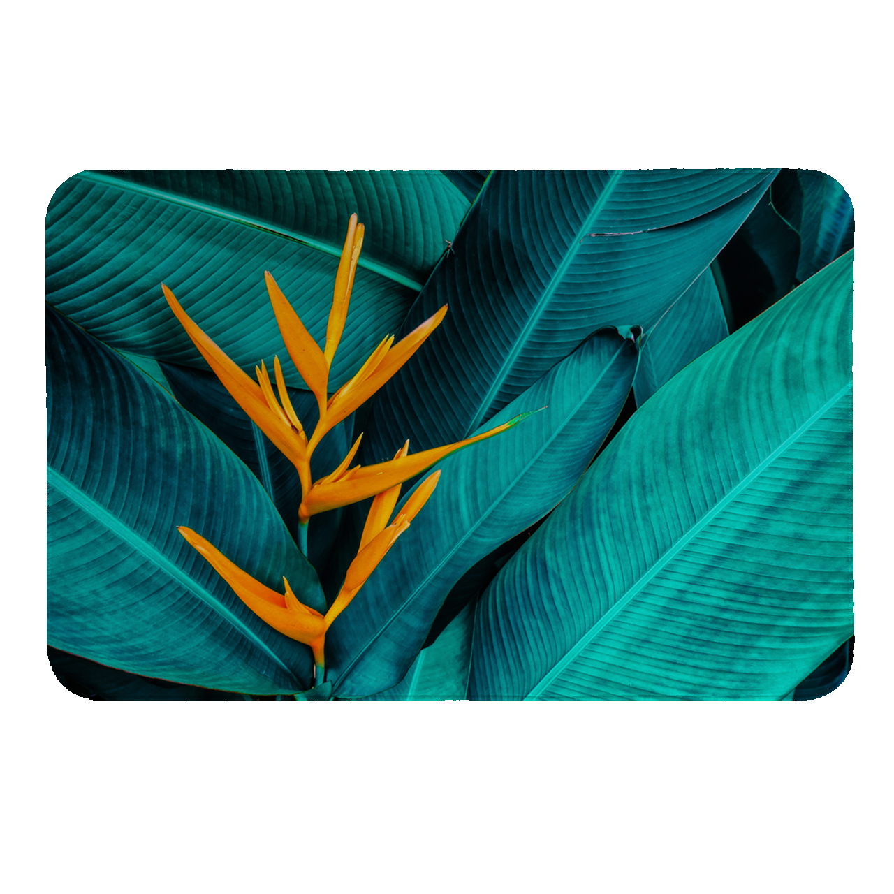 رطوبت گیر کنار سینک کد 5561