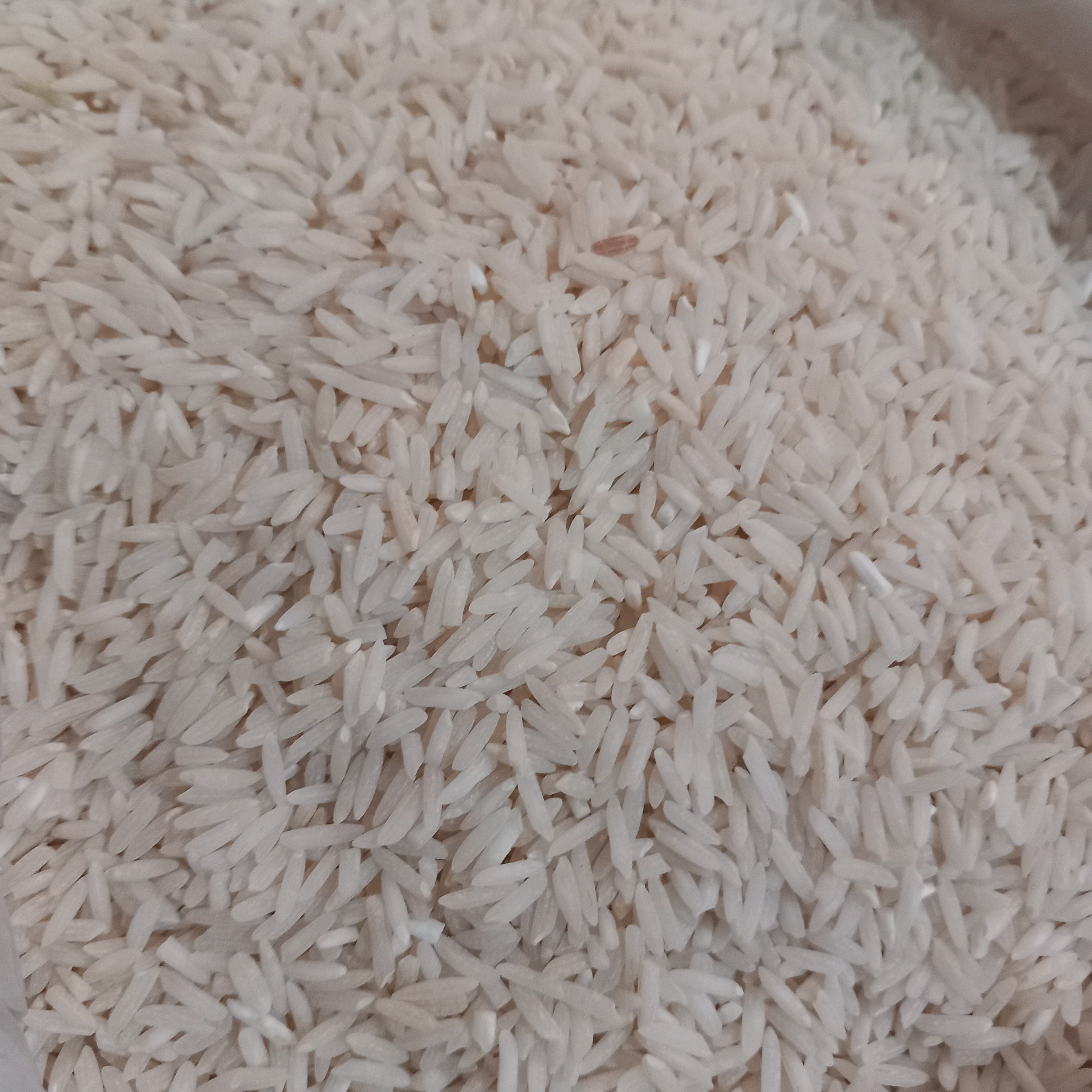 برنج طارم درجه یک بسته های وزن50 کلیویی و 100 کیلویی
