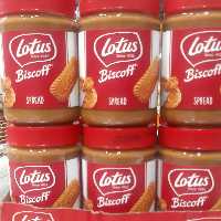 کرم بیسکوییت لوتوس