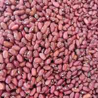 لوبیا قرمز دستچین و پولیش خورده ممتاز 500 گرمی