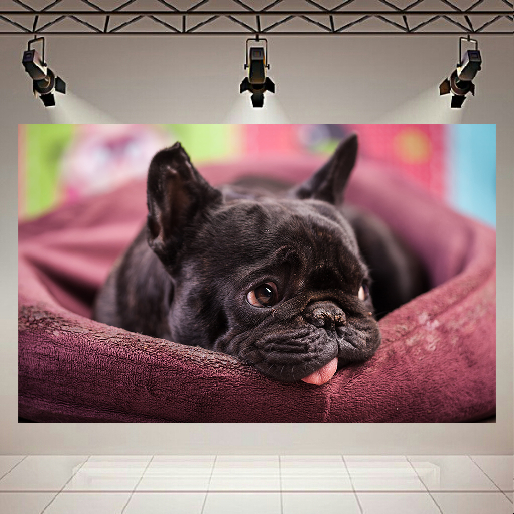تابلو بوم طرح سگ بامزه مدل French Bulldog کد AR2923