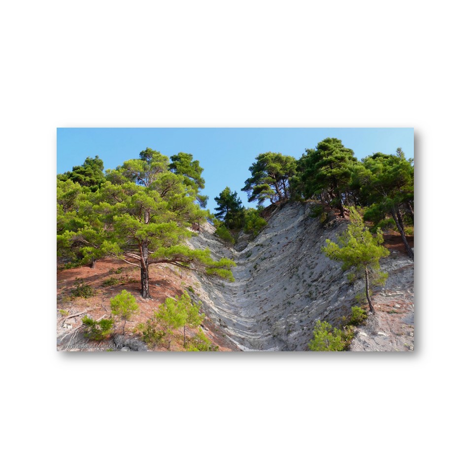 تابلو شاسی مدل طبیعت کد 27