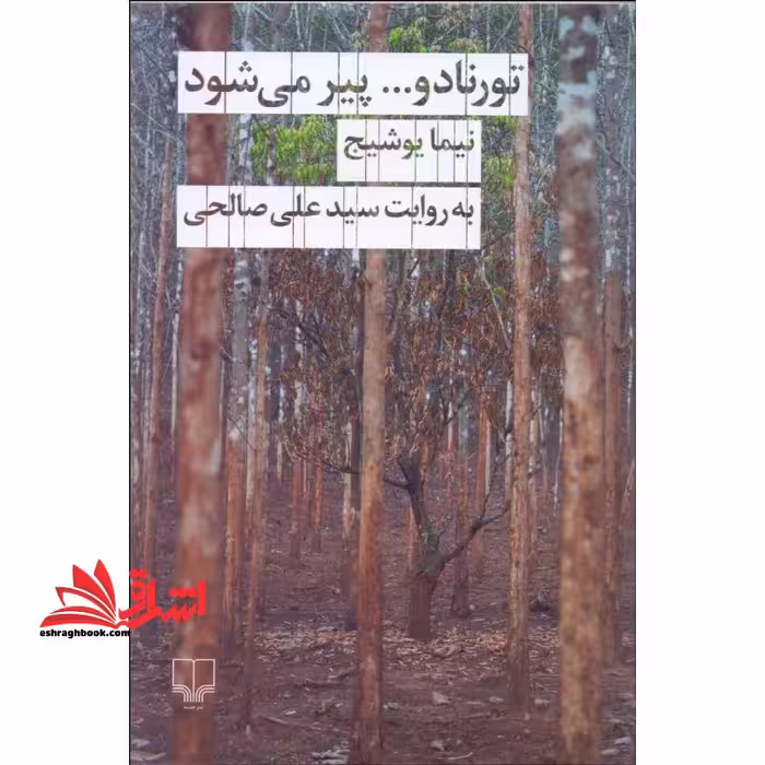 تورنادو...پیر می شود - فروشگاه کتاب اشراق