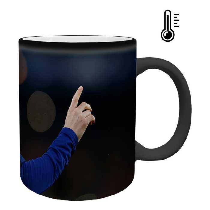 ماگ حرارتی مدل مسی کد 66