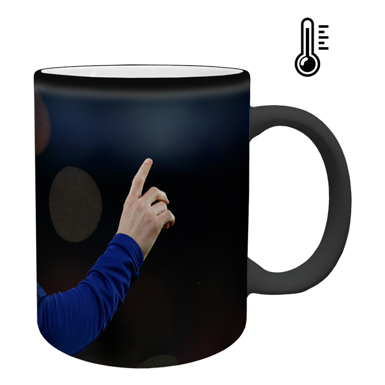 ماگ حرارتی مدل مسی کد 66