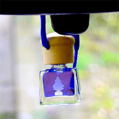 خوشبوکننده خودرو لیتل تریس مدل Air Freshener کد Sport حجم 4.5 میلی لیتر