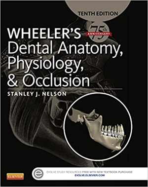 [PDF] دانلود کتاب Planning And Care For Children And Adolescents With Dental Enamel Defects - Etiology, Research And Contemporary Management, 2015