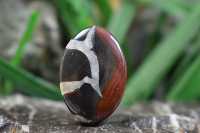 سپتارین مراکش اصل و طبیعی