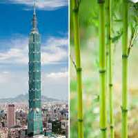 پاورپوینت الگوبرداري سازه اي از طبيعتو معماری