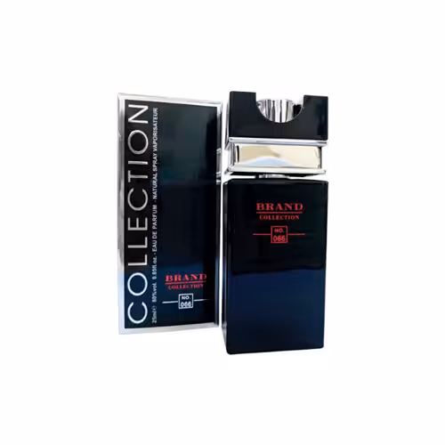 عطر ادکلن ژاک بوگارت سیلور سنت مردانه برند کالکشن کد 066 (Jacques Bogart Silver Scent Intense) حجم 25 میل