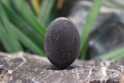 یشم عباس آباد