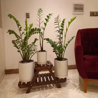 استند گلدان مدل RZ