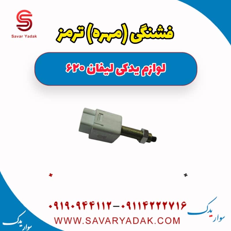 فشنگی (مهره) ترمز لیفان 620