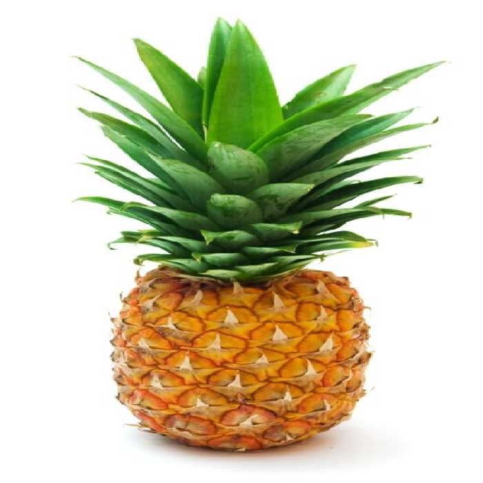 خرید و دانلود عکس Food-Part-15 کد 19106 | پیک فاکس | Pic Fox