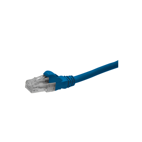 پچ کورد یک متری Schneider مدل DCEPCURJ01-BLM - فروشگاه اینترنتی طیف سنتر