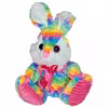 عروسک طرح خرگوش مدل RainBow کد SZT/21 ارتفاع 34 سانتی متر