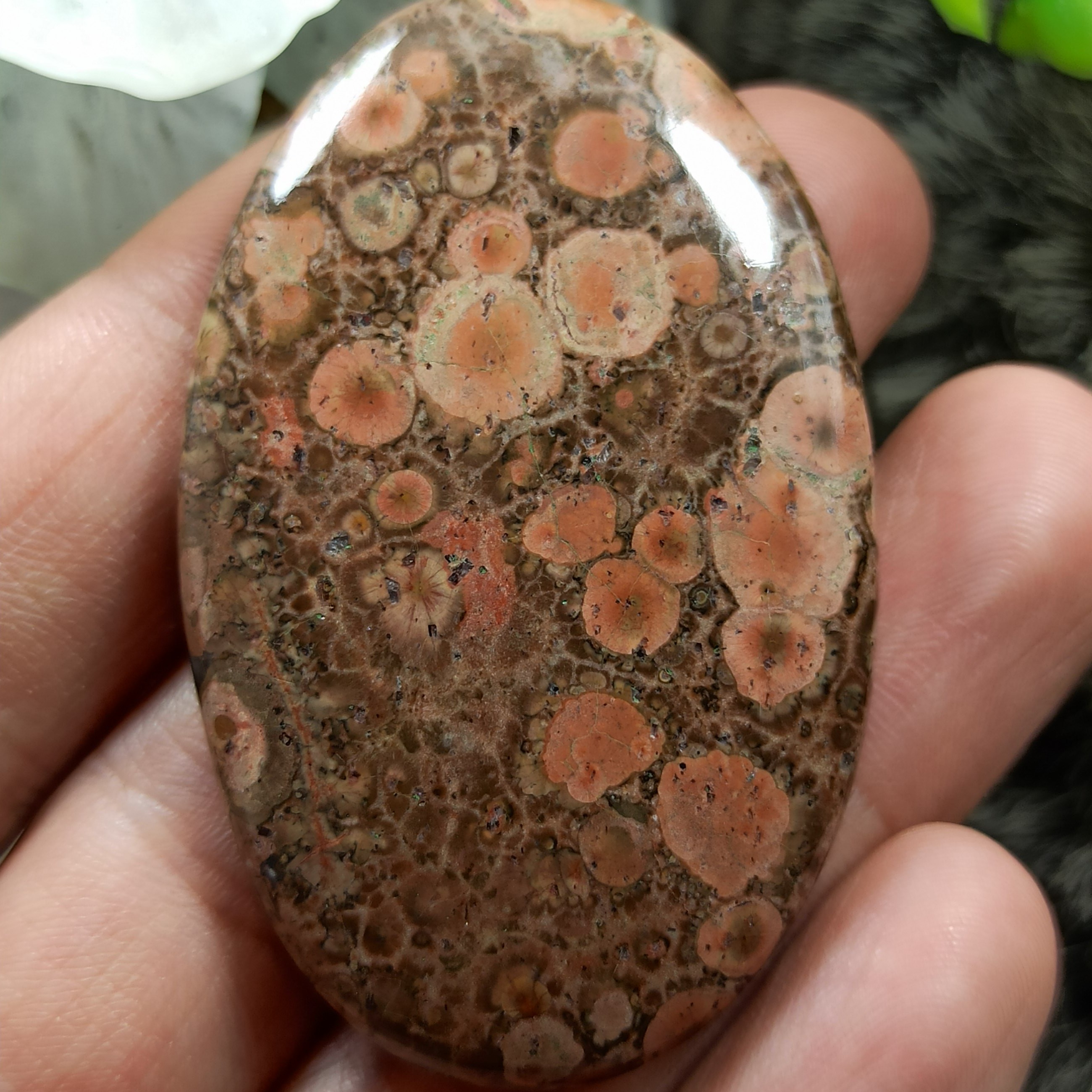 جاسپر چشم پرنده  کلکسیونی کد 31