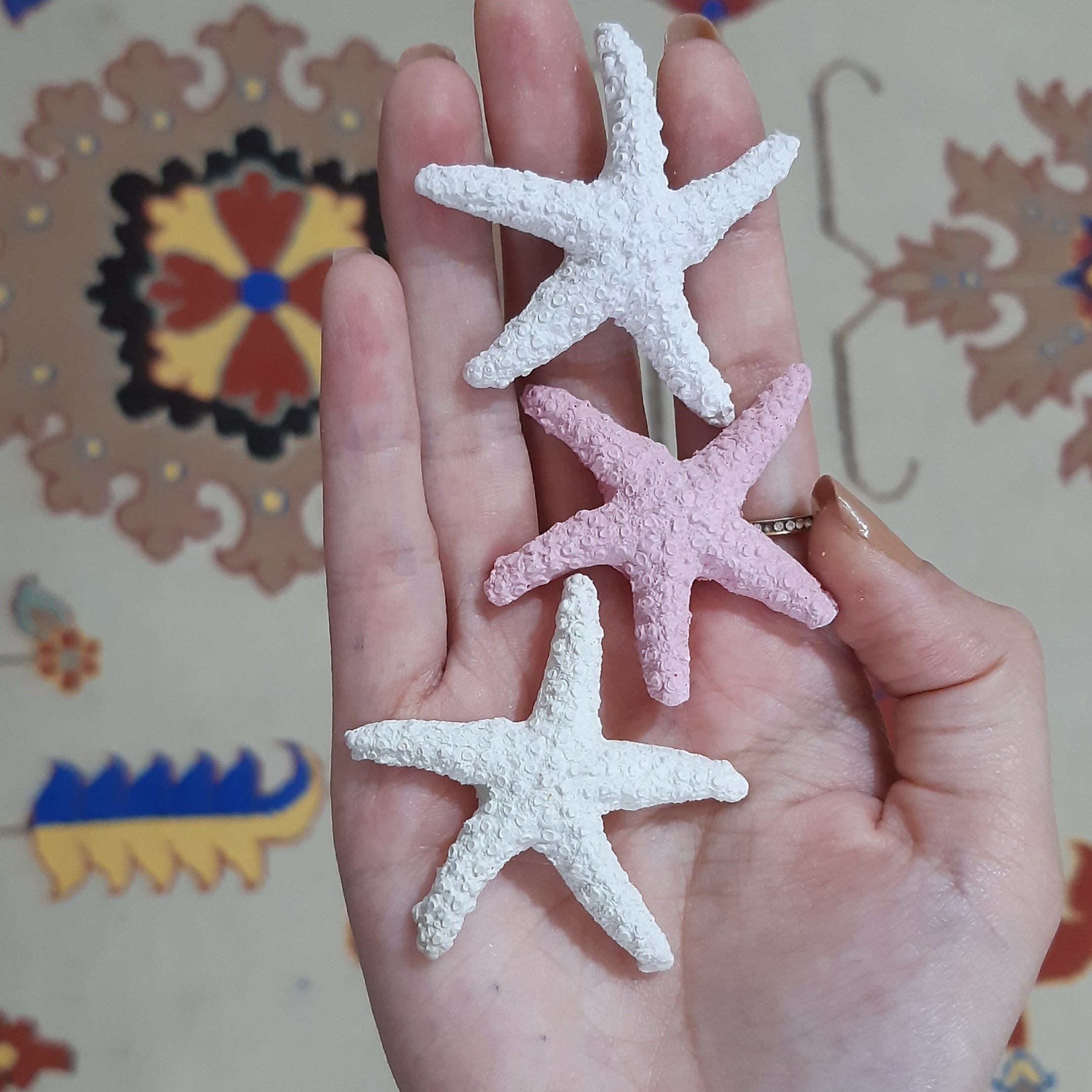 ستاره دریایی سنگی (بسته 40 عددی)