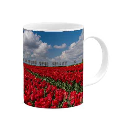 ماگ طرح گل مدل mgp02239