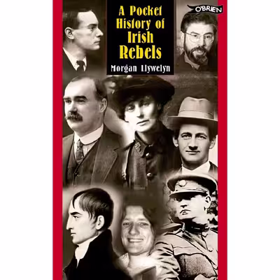 کتاب A Pocket History of Irish Rebels اثر Morgan Llywelyn انتشارات The OBrien Press