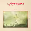 پازل 35 تکه مدل نیمار کد 81