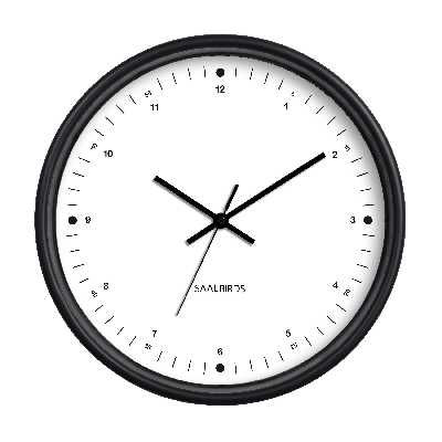 ساعت دیواری سالبردز مدل CWM-116