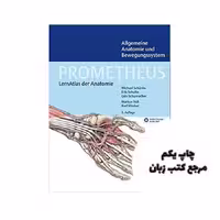 PROMETHEUS Allgemeine Anatomie und Bewegungssystem LernAtlas der Anatomie کتاب نویسنده Thieme
