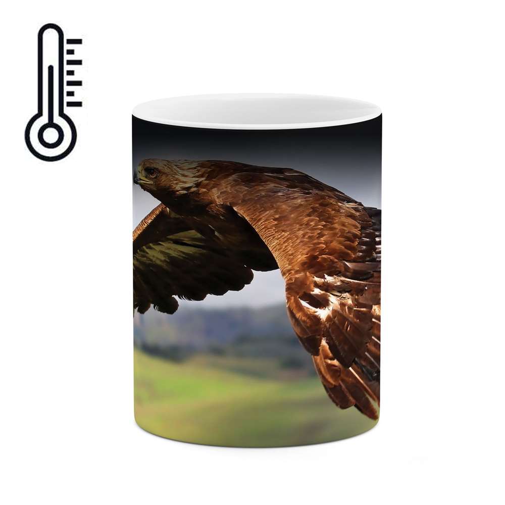 ماگ حرارتی طرح عقاب مدل mgh04611