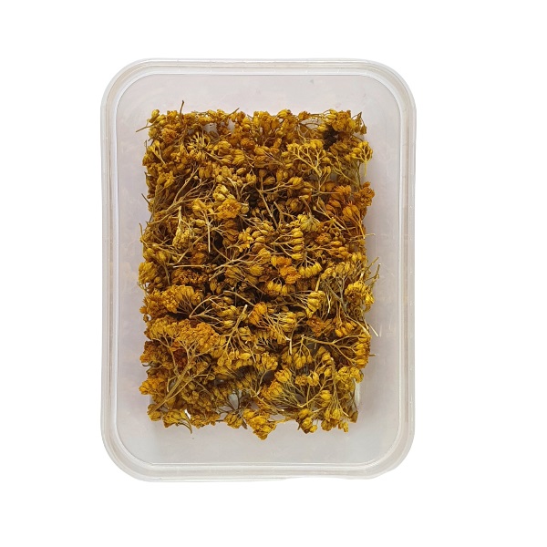 گل خشک مدل بومادران کد 60 وزن 87 گرم