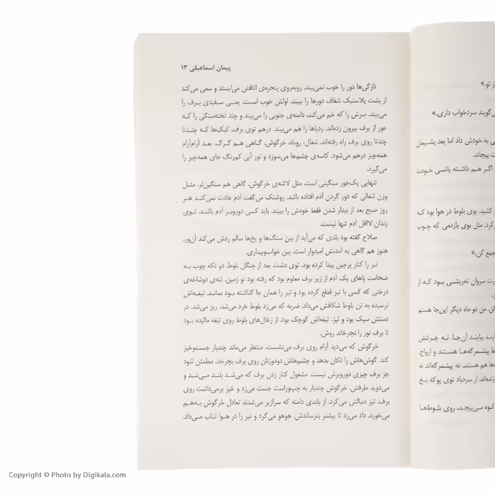 کتاب نگهبان اثر پیمان اسماعیلی نشر چشمه