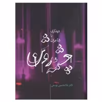 کتاب چشمه روشن دیداری با شاعران اثر دکتر غلامحسین یوسفی انتشارات علمی 
