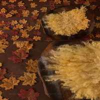 بک دراپ عکاسی نوزاد با برگ | گرافیک با طعم تربچه