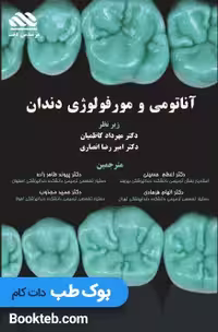 آناتومی و مورفولوژی دندان هیلتون