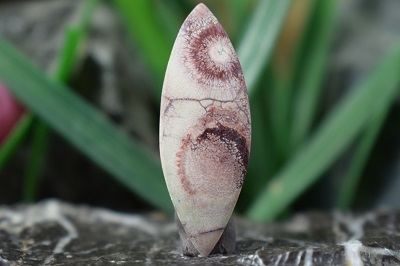 جاسپر گل افتابگردان(جاسپر چشم پرنده)