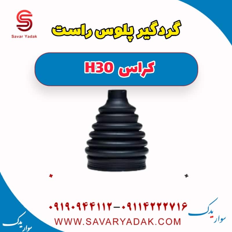 گردگیر پلوس سمت راست H30 کراس