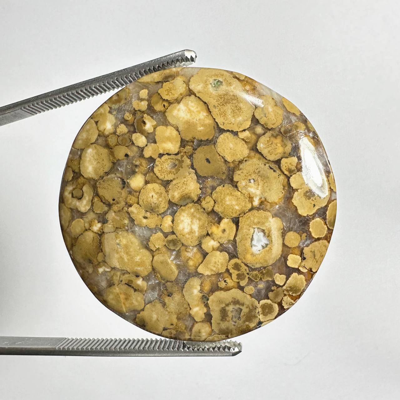 سنگ کبرای جاسپر طبیعی دایره ای درشت 235205