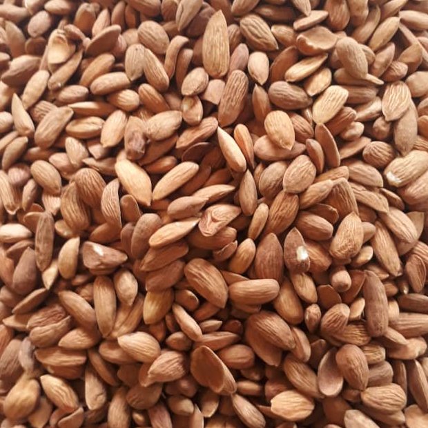 مغز بادام صدرصد ایرانی خام وامسالی(1000گرم)
