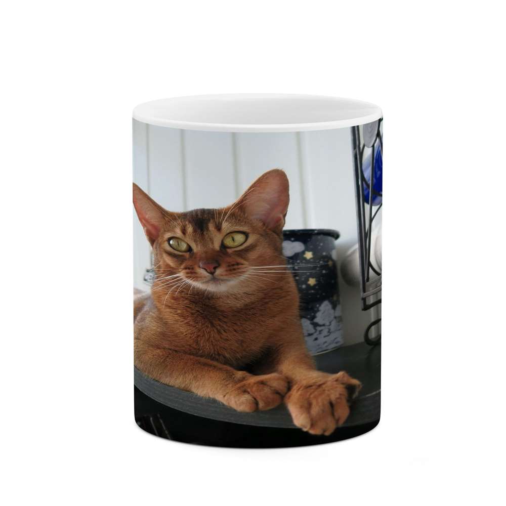 ماگ کاکتی طرح گربه مدل mgs14531