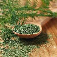 شوید خشک درجه یک و ممتاز (ارسال رایگان) عطر و طعم فوق العاده (کیفیت عالی) 100 گرم