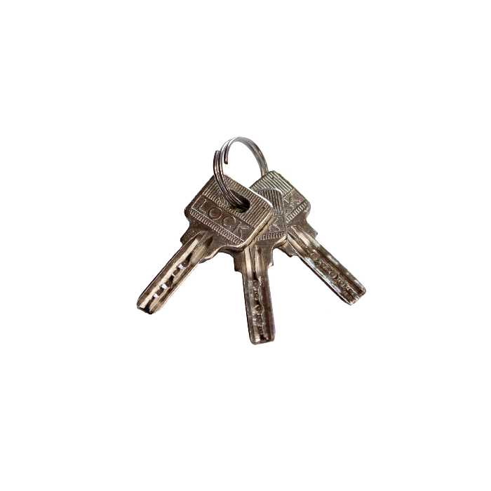 قفل آویز کابین مدل پدلاک